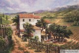 Click to View Montalcino Vines